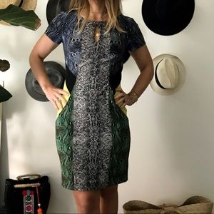 Multicolor snake print knee length dress